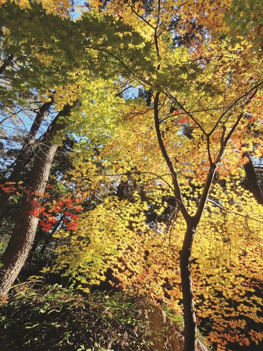 21-6 부산시민우체통 여우비